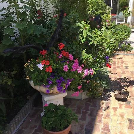 Au Bon Dom wakacyjny *